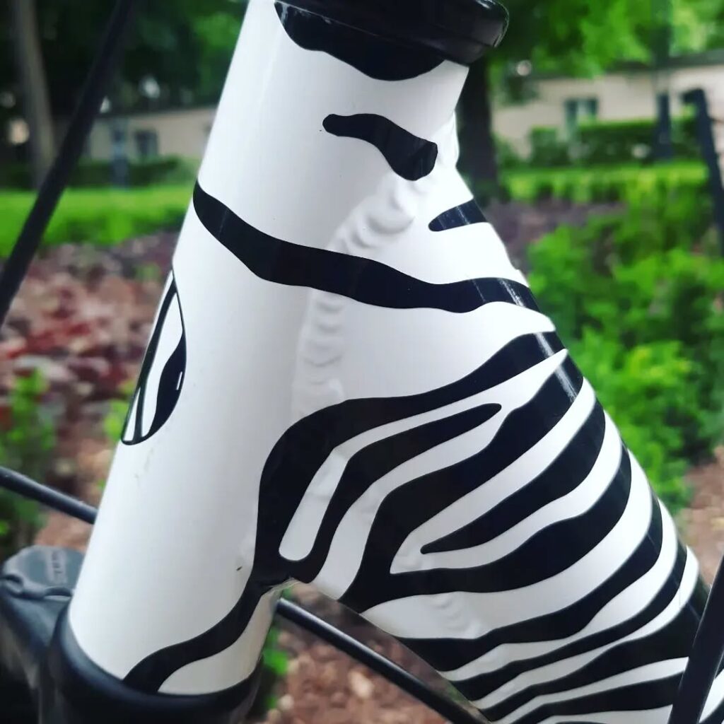 284614238_716379829508208_5298310760948882641_n