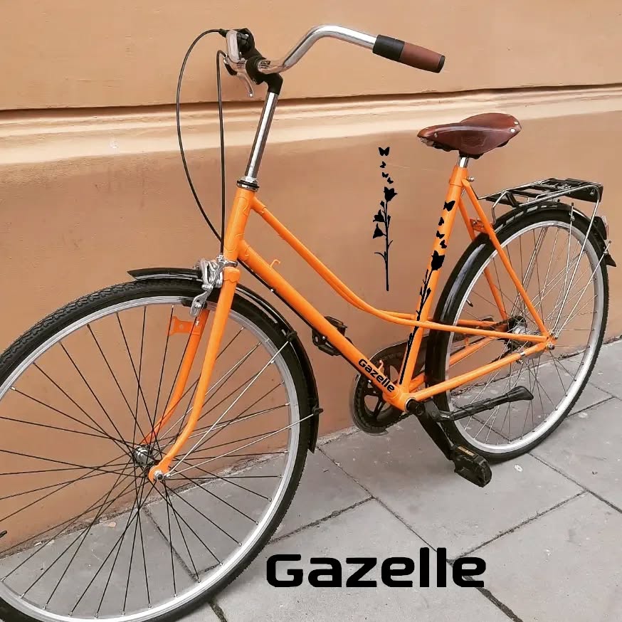 328568815_3475072809404355_2233377280326565432_n