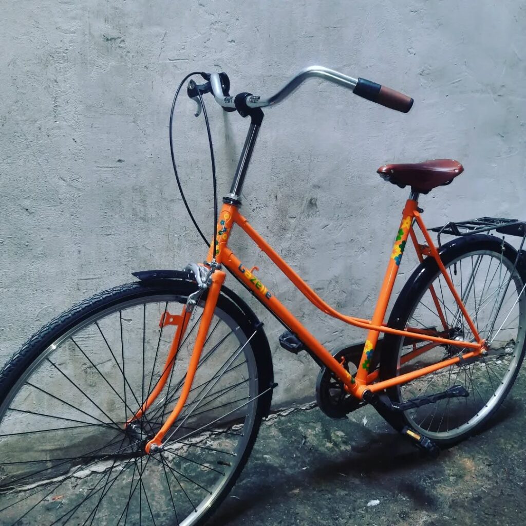 337467783_1434566227280825_7869399760970295136_n